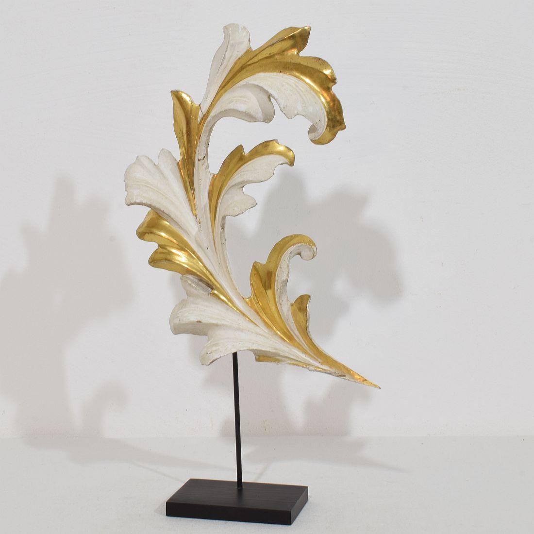 Beautiful handcarved giltwood acanthus leaf curl ornament that once adorned a chapel .Original period piece that due it’s high age has a wonderful weathered look.
Italy circa 1780/1850 , weathered,small losses and old repair.
Measurements include