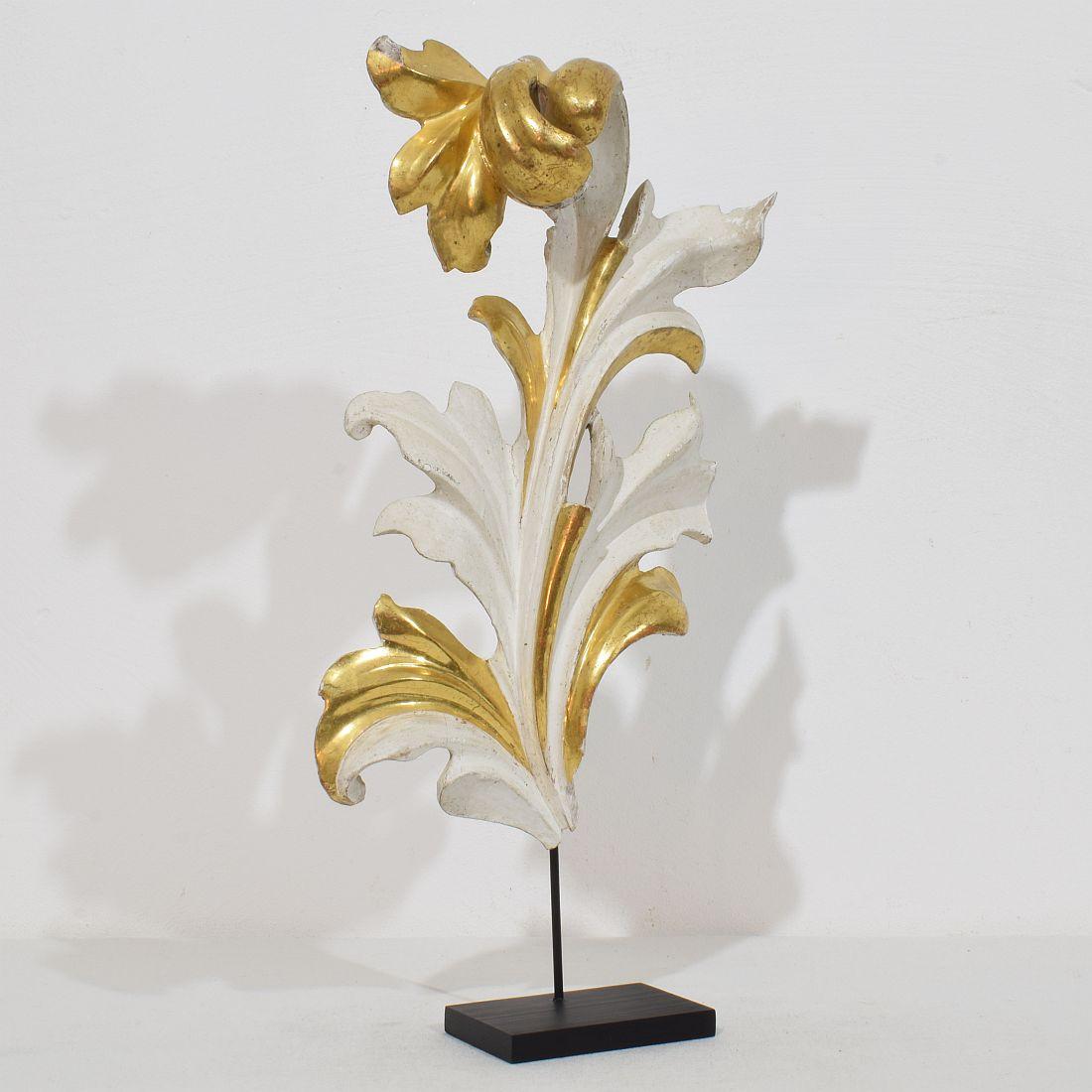 Hand-Carved Italian 18/19th Century Hand Carved Giltwood Acanthus Leaf Curl Ornament. For Sale