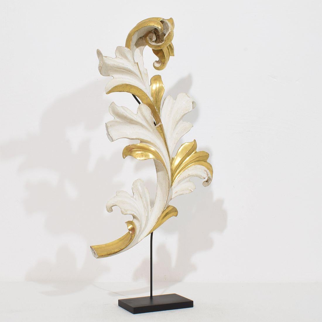italien The Ornamental Acanthus Leaf Curl en bois doré sculpté à la main, Italie 18/19e siècle en vente