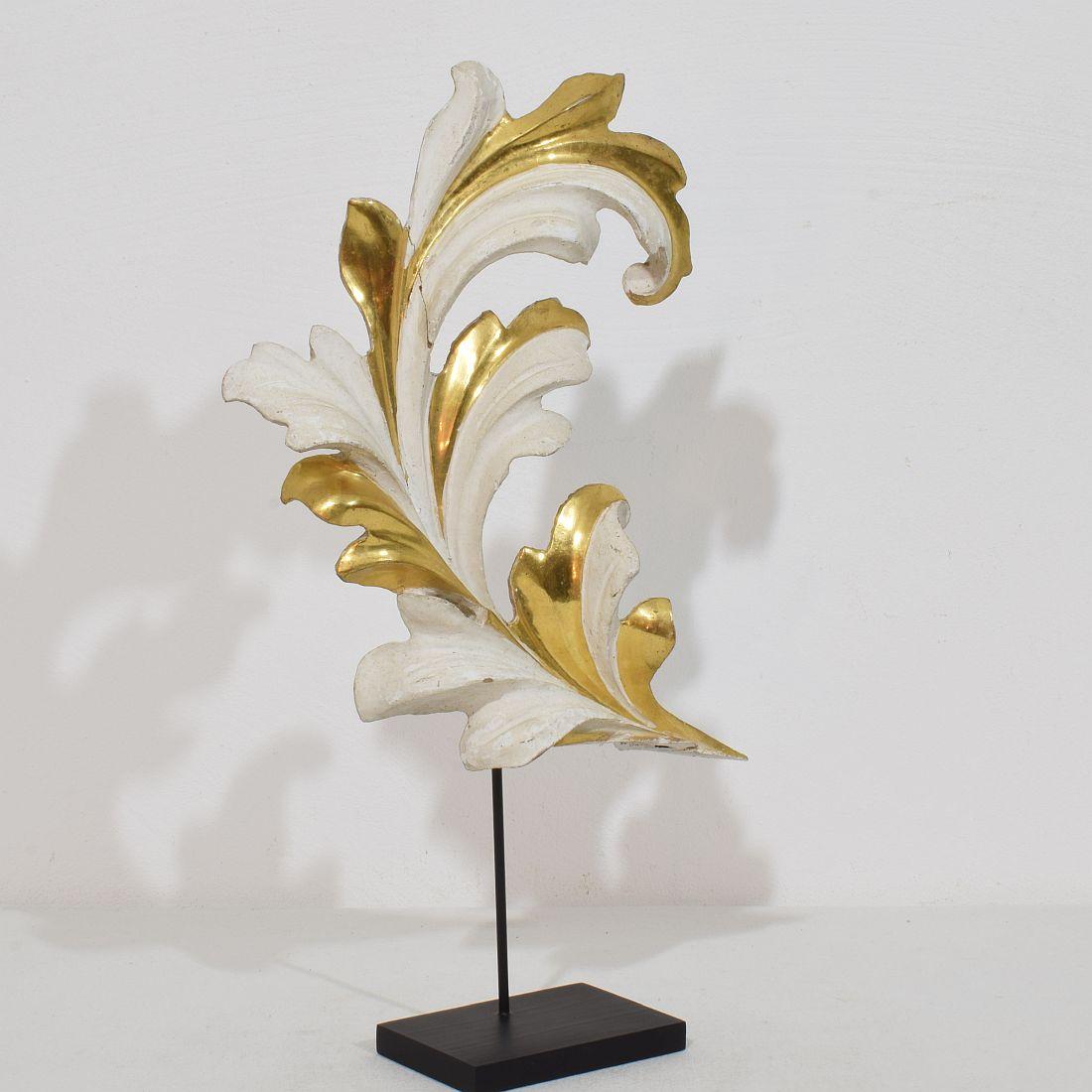 italien The Ornamental Acanthus Leaf Curl en bois doré sculpté à la main, Italie 18/19e siècle en vente
