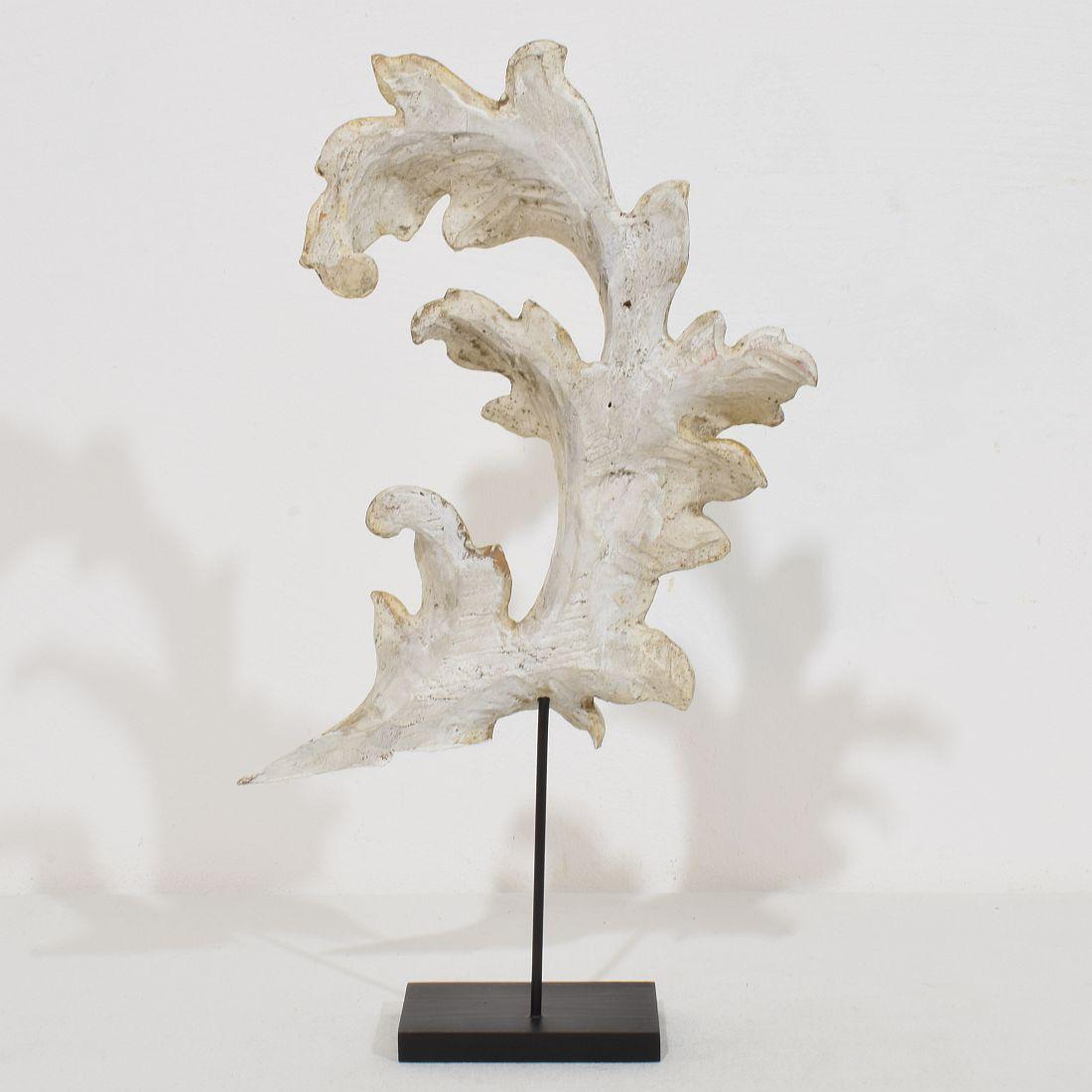 The Ornamental Acanthus Leaf Curl en bois doré sculpté à la main, Italie 18/19e siècle Bon état - En vente à Buisson, FR