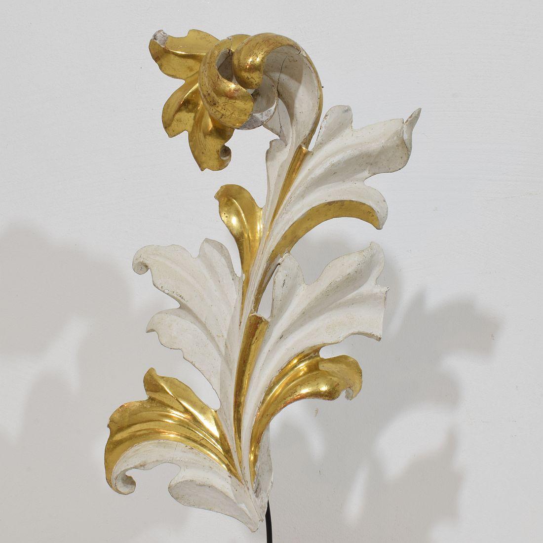 The Ornamental Acanthus Leaf Curl, ornement italien en bois doré sculpté à la main, datant du 18/19e siècle. en vente 1