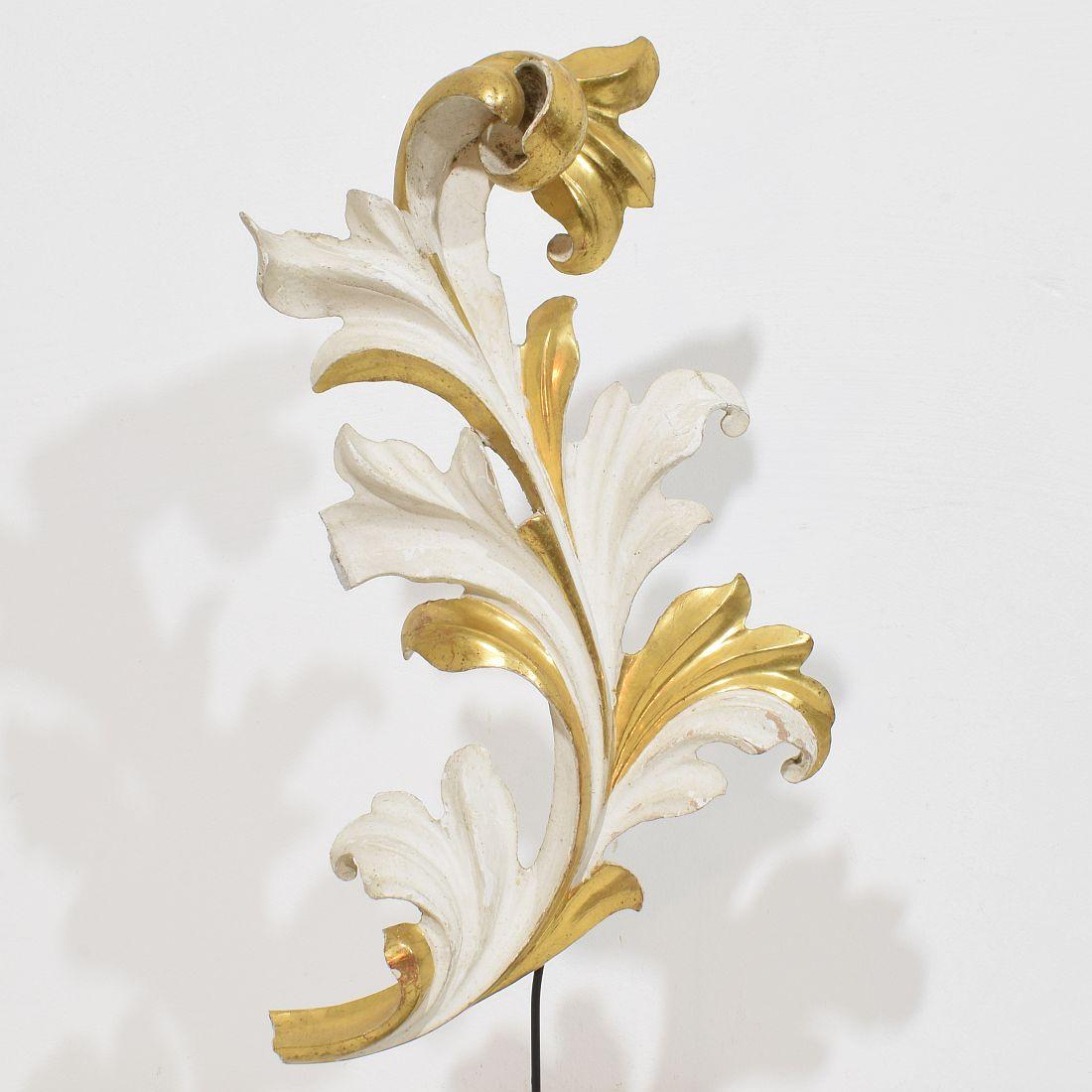 Bois The Ornamental Acanthus Leaf Curl en bois doré sculpté à la main, Italie 18/19e siècle en vente
