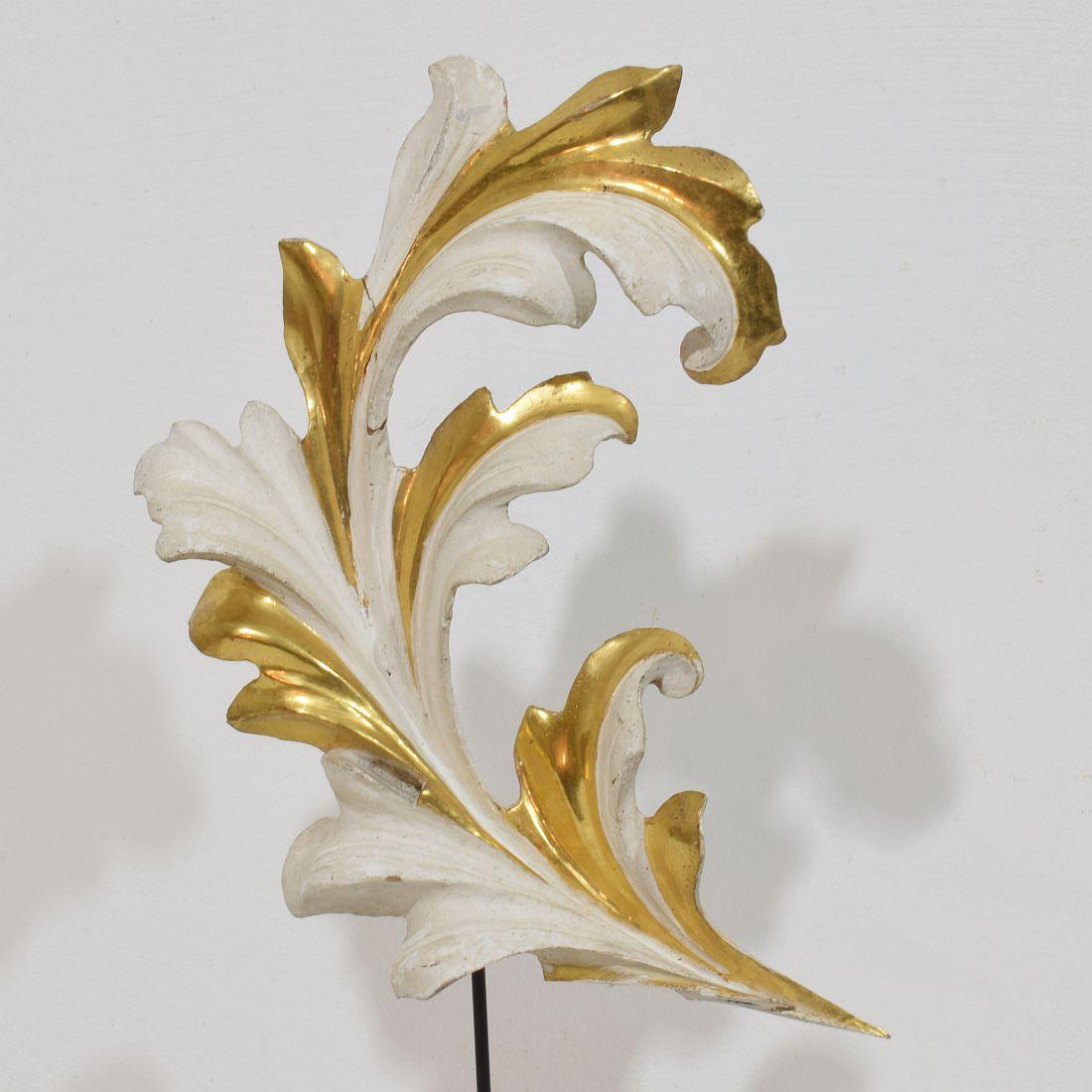 Bois The Ornamental Acanthus Leaf Curl en bois doré sculpté à la main, Italie 18/19e siècle en vente