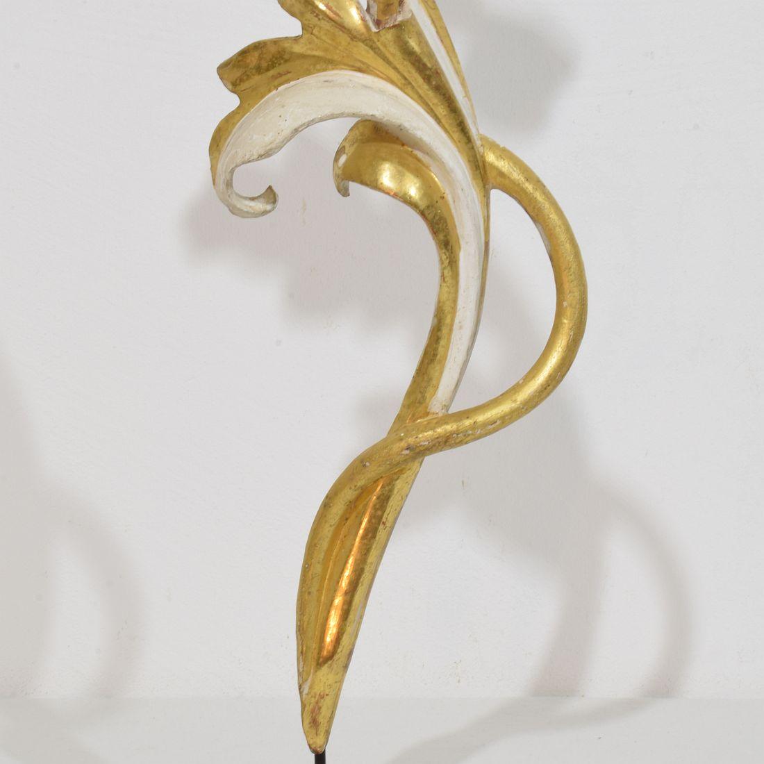 Italian 18/19th Century Hand Carved Giltwood Acanthus Leaf Curl Ornament For Sale 2
