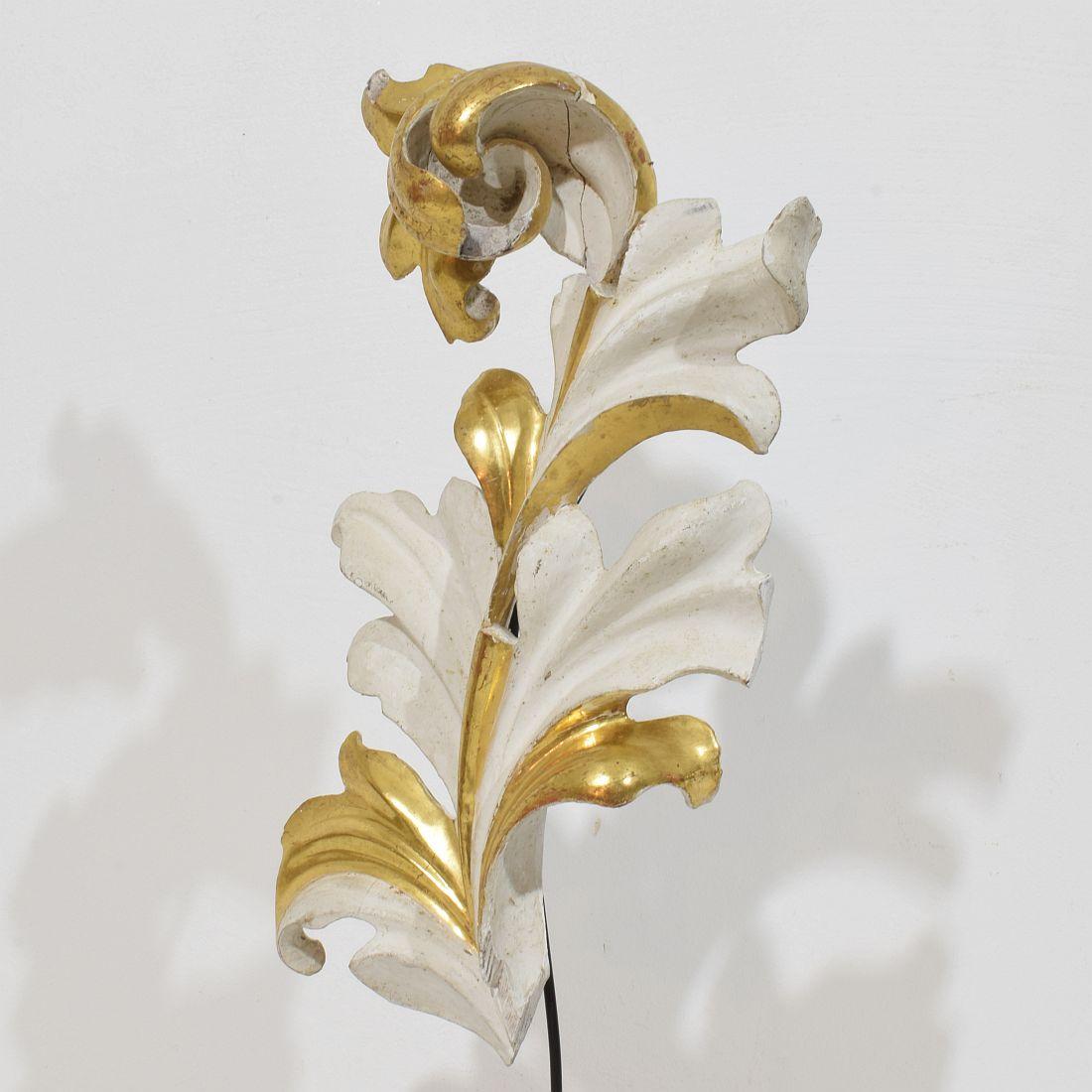 Italian 18/19th Century Hand Carved Giltwood Acanthus Leaf Curl Ornament. For Sale 2