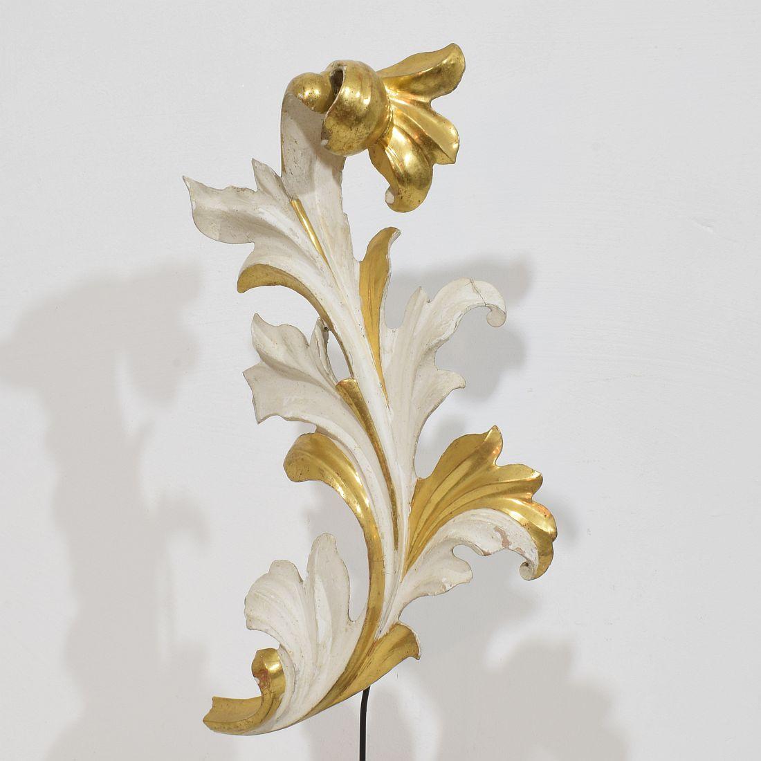 Italian 18/19th Century Hand Carved Giltwood Acanthus Leaf Curl Ornament For Sale 2