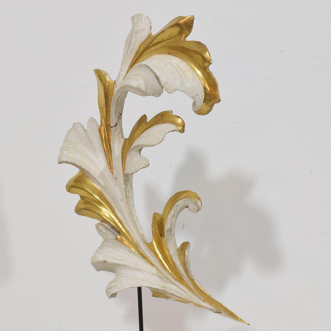 The Ornamental Acanthus Leaf Curl en bois doré sculpté à la main, Italie 18/19e siècle en vente 1