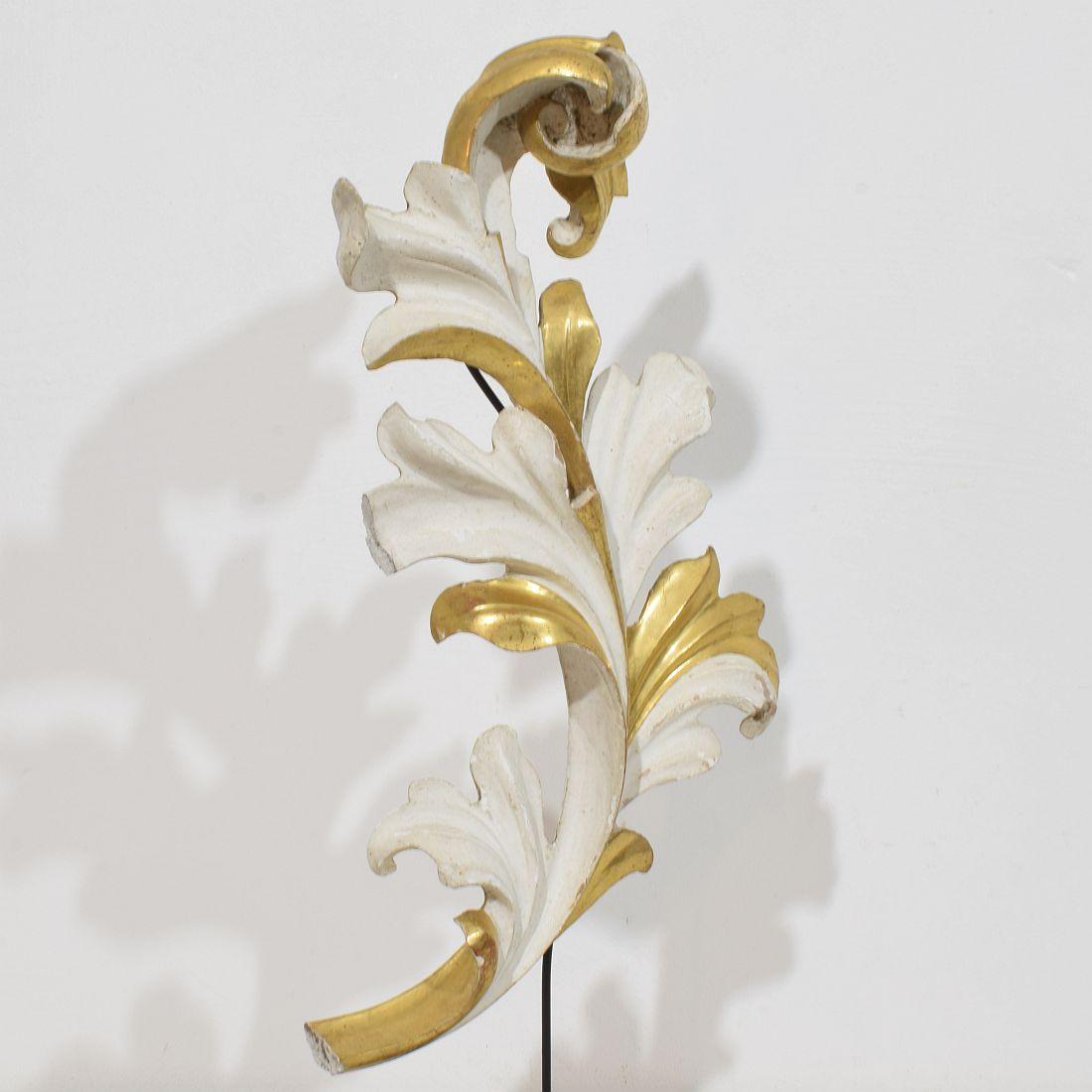 Italian 18/19th Century Hand Carved Giltwood Acanthus Leaf Curl Ornament For Sale 3
