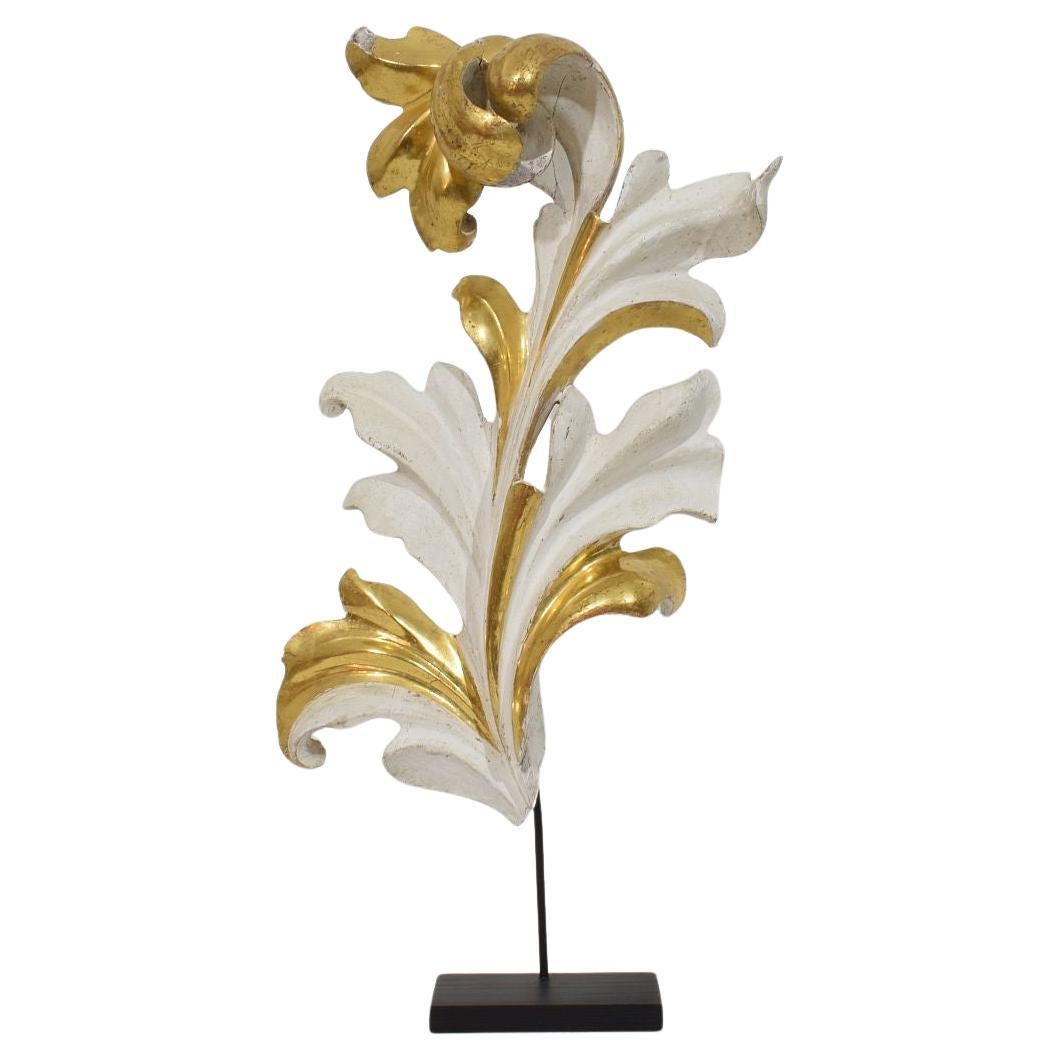 Italian 18/19th Century Hand Carved Giltwood Acanthus Leaf Curl Ornament. For Sale