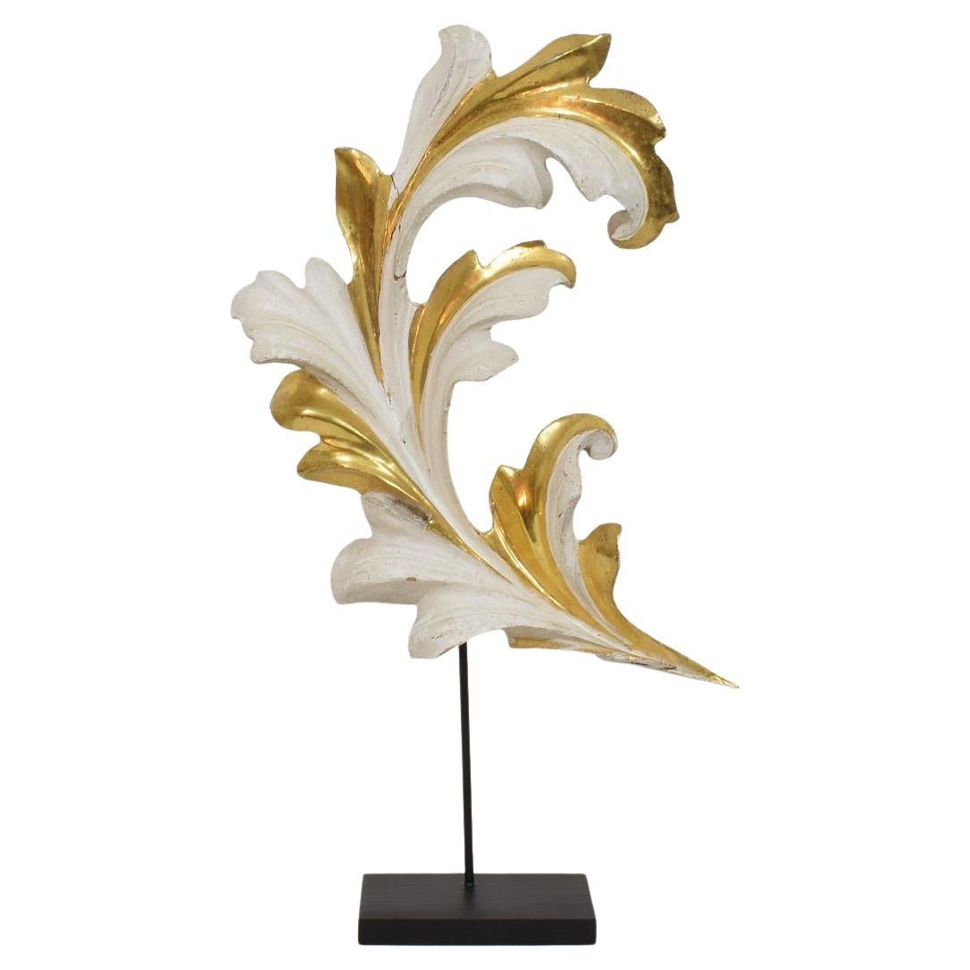 Italienisch 18/19. Jahrhundert Hand geschnitzt Giltwood Acanthus Leaf Curl Ornament