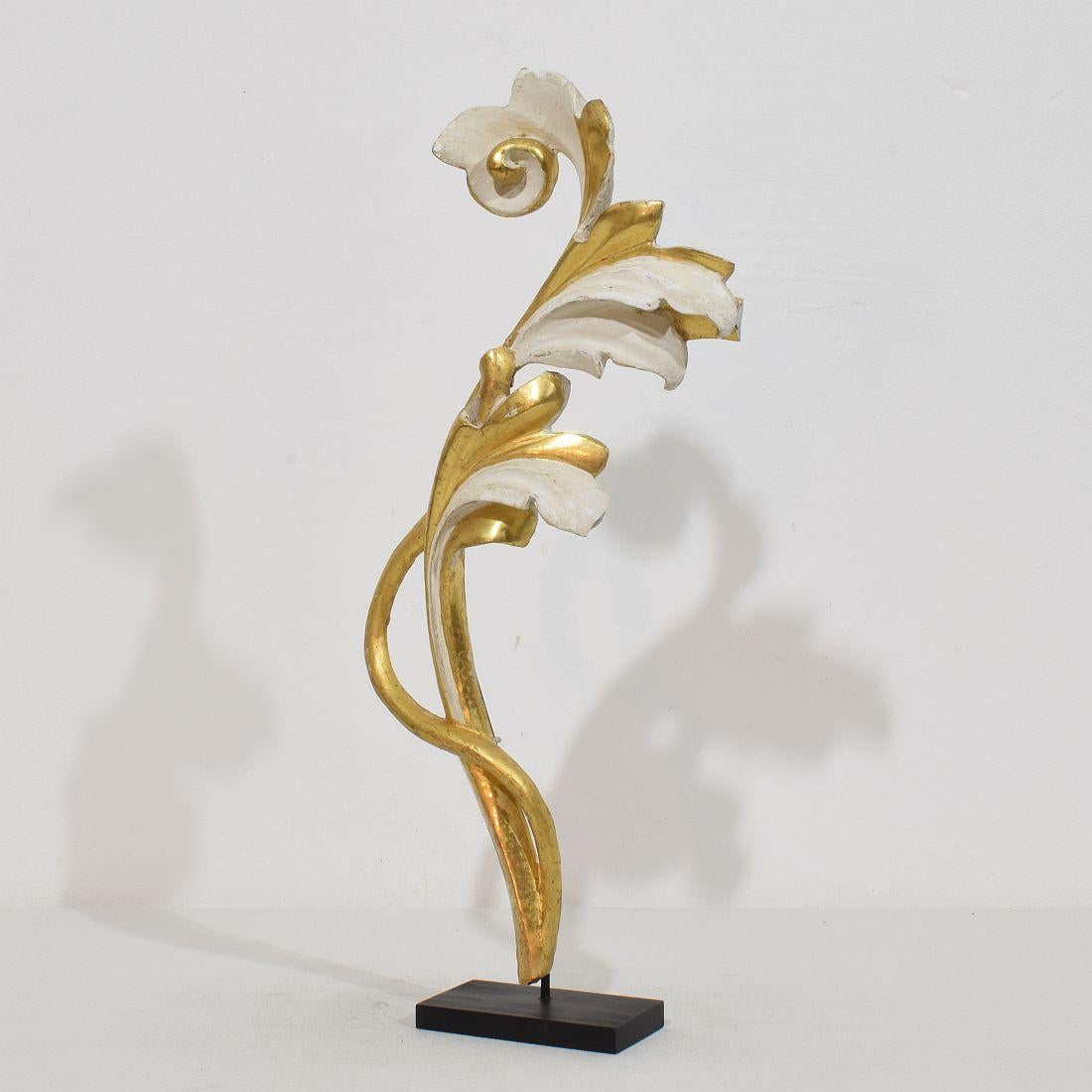Precioso adorno de madera dorada tallada a mano con hojas de acanto que en su día adornó una capilla . Pieza original de época que por su elevada antigüedad tiene un bello aspecto desgastado.
Italia circa 1780/1850 , desgastado, pequeñas