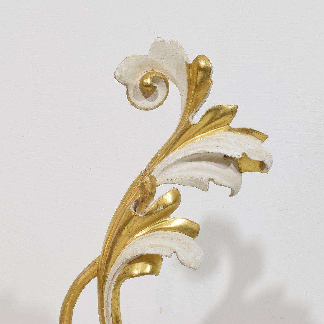 Italian 18/19th Century Hand Carved Giltwood Acanthus Leaf Ornament For Sale 1