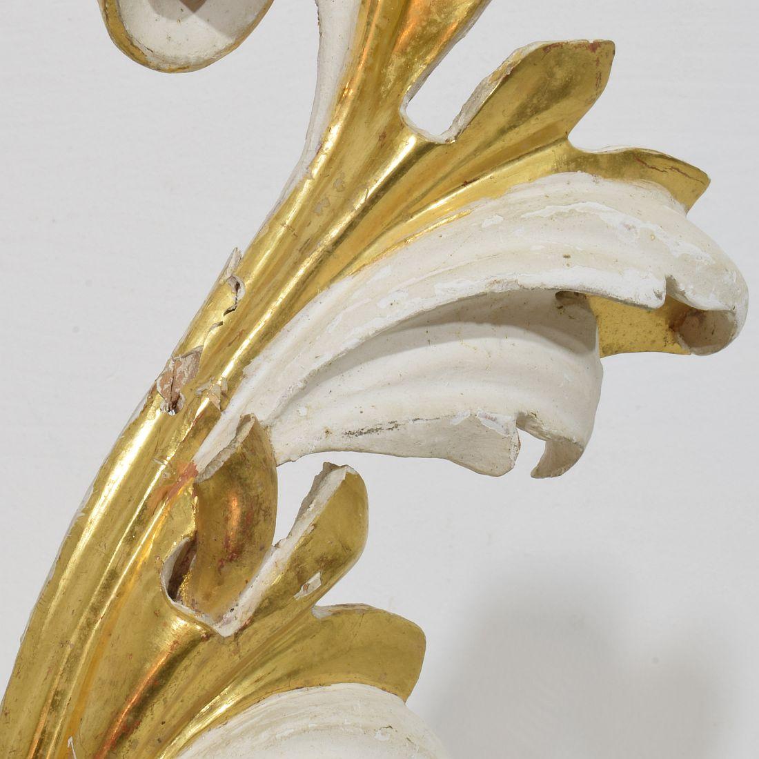 Italian 18/19th Century Hand Carved Giltwood Acanthus Leaf Ornament For Sale 3