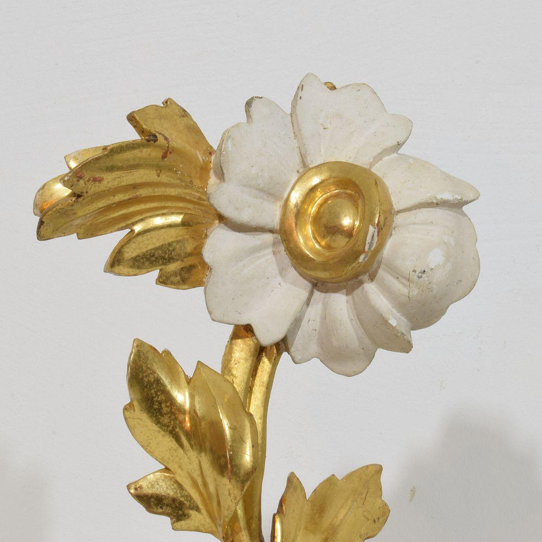 Italian 18/19th Century Hand Carved Giltwood Floral Ornament For Sale 5