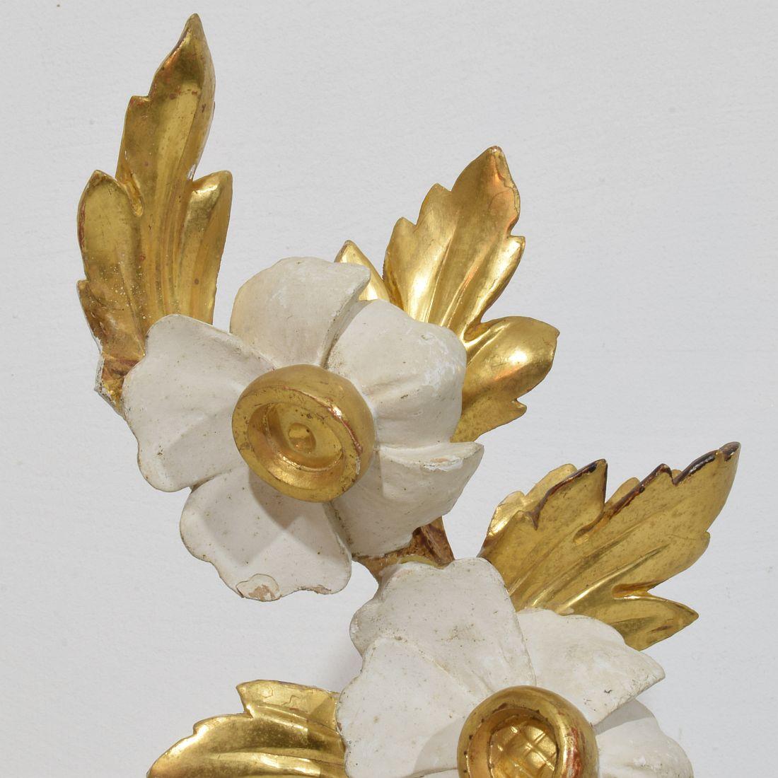 Ornement floral italien du 18/19e siècle en bois doré sculpté à la main en vente 5