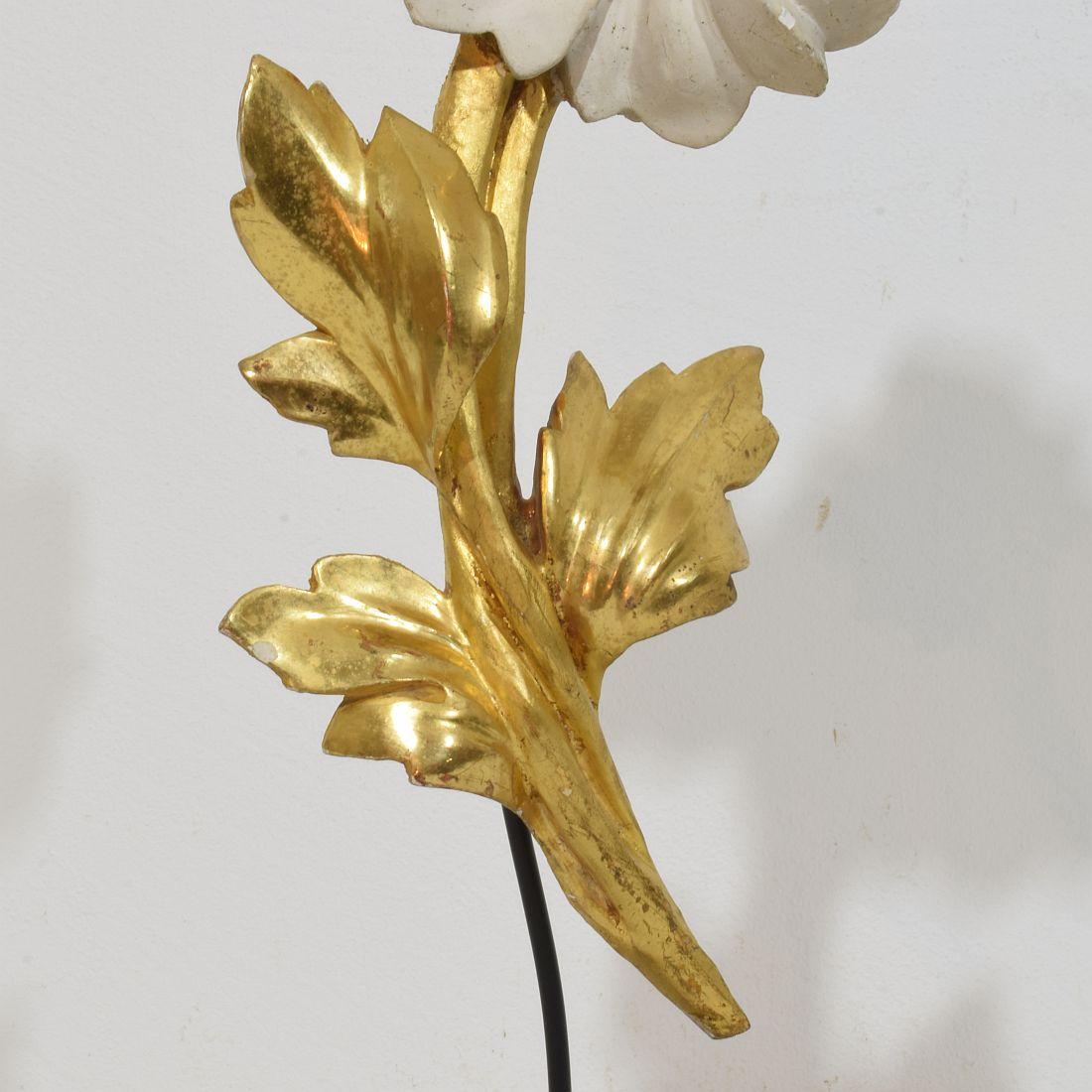 Ornement floral italien du 18/19e siècle en bois doré sculpté à la main en vente 6