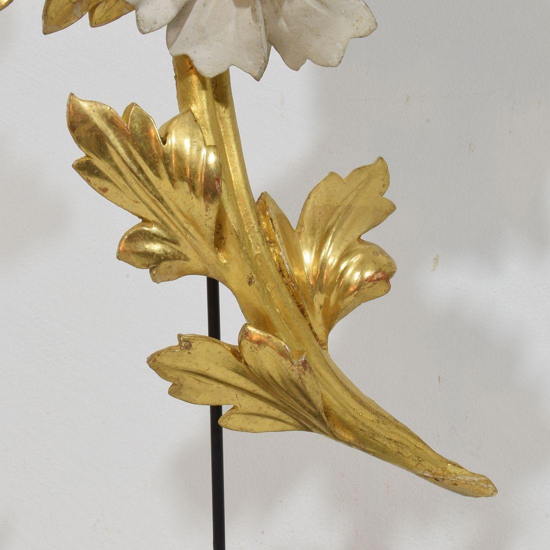 Ornement floral italien du 18/19e siècle en bois doré sculpté à la main en vente 6