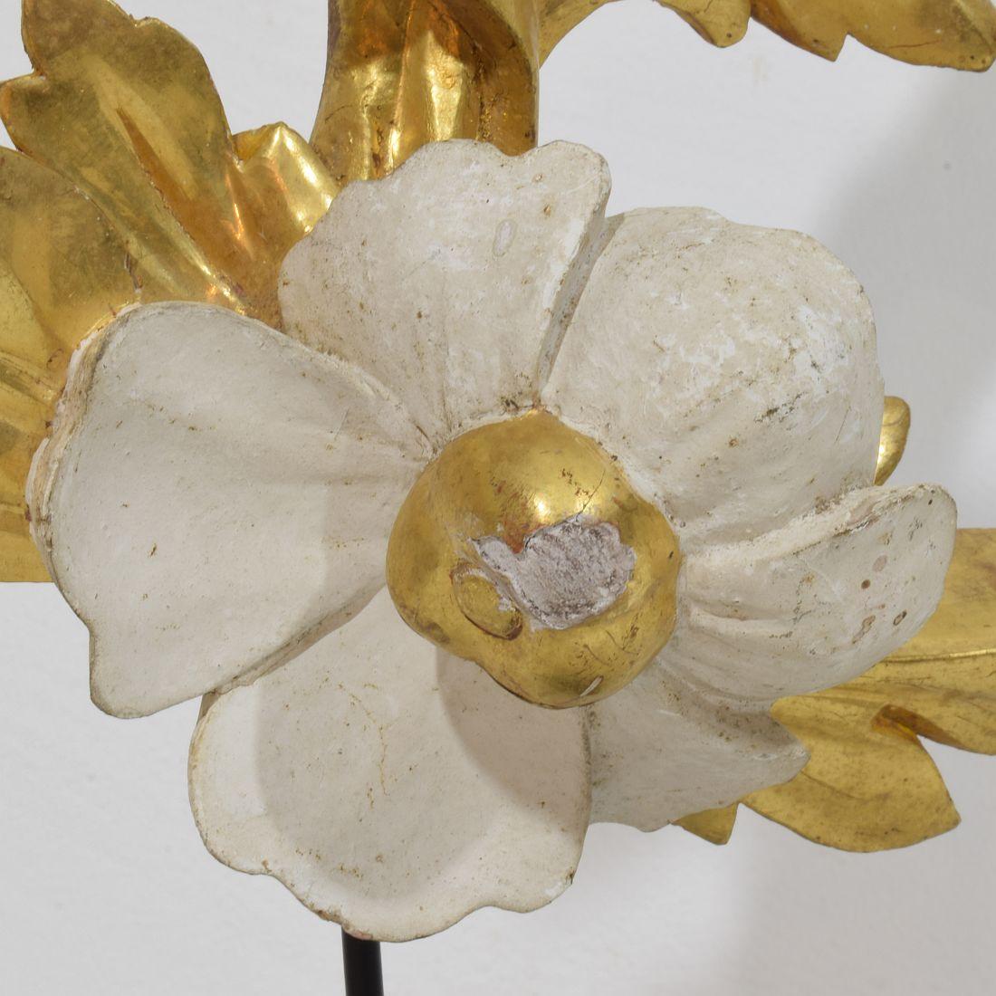 Italian 18/19th Century Hand Carved Giltwood Floral Ornament For Sale 7