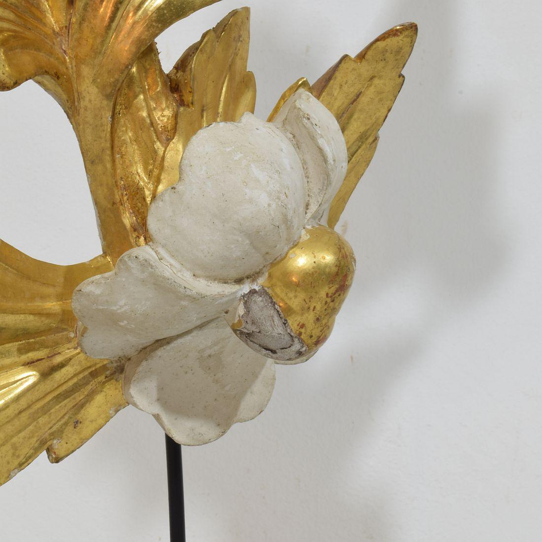 Italienisch 18/19. Jahrhundert Hand geschnitzt Giltwood Floral Ornament im Angebot 8