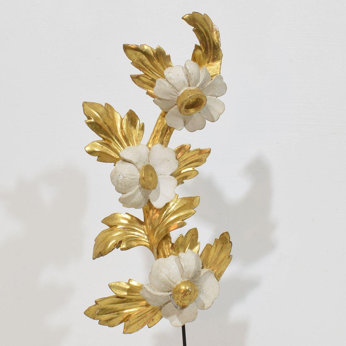 Italienisch 18/19. Jahrhundert Hand geschnitzt Giltwood Floral Ornament im Angebot 1