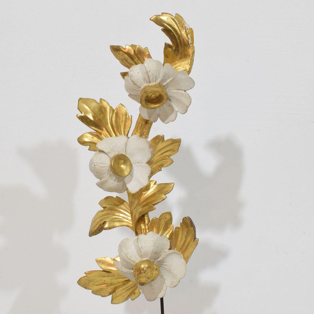 Italienisch 18/19. Jahrhundert Hand geschnitzt Giltwood Floral Ornament im Angebot 2