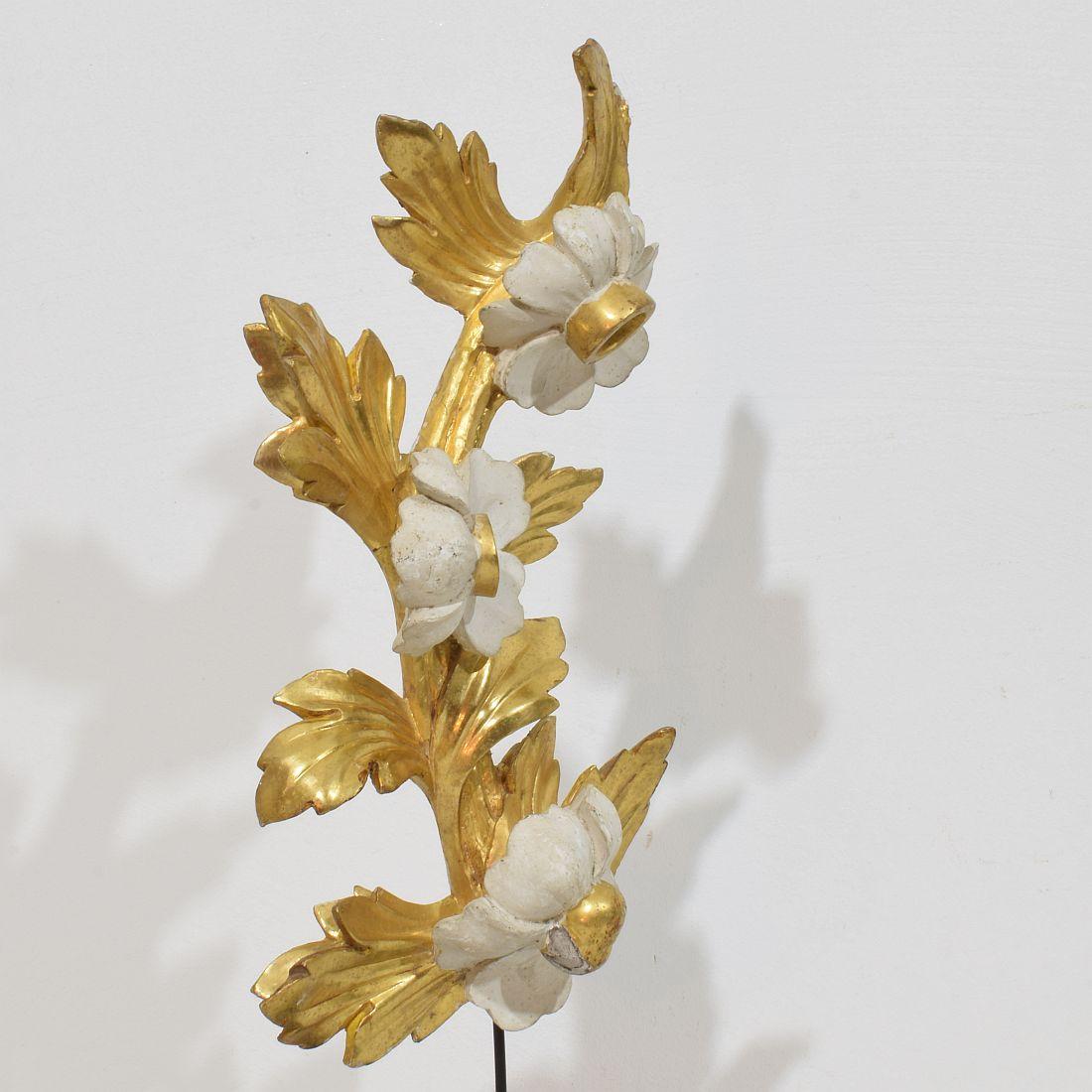 Italienisch 18/19. Jahrhundert Hand geschnitzt Giltwood Floral Ornament im Angebot 3