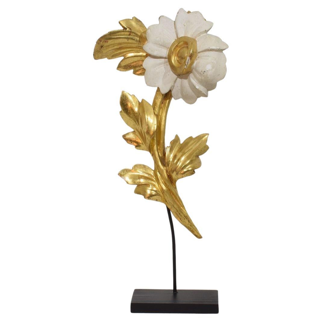 Italienisch 18/19. Jahrhundert Hand geschnitzt Giltwood Floral Ornament im Angebot