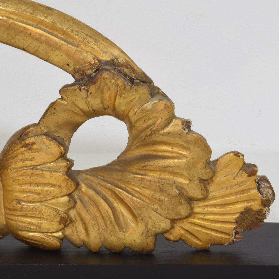 Adorno de pájaro italiano de estilo neoclásico tallado en madera de gilt del siglo XVIII/XIX en venta 4