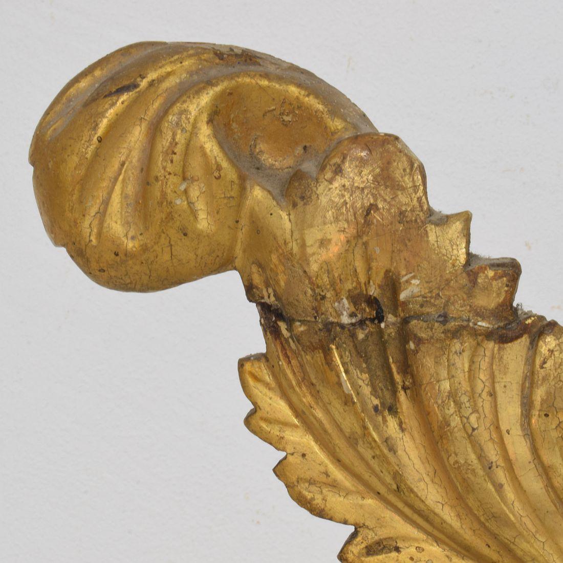 Adorno de pájaro italiano de estilo neoclásico tallado en madera de gilt del siglo XVIII/XIX en venta 5