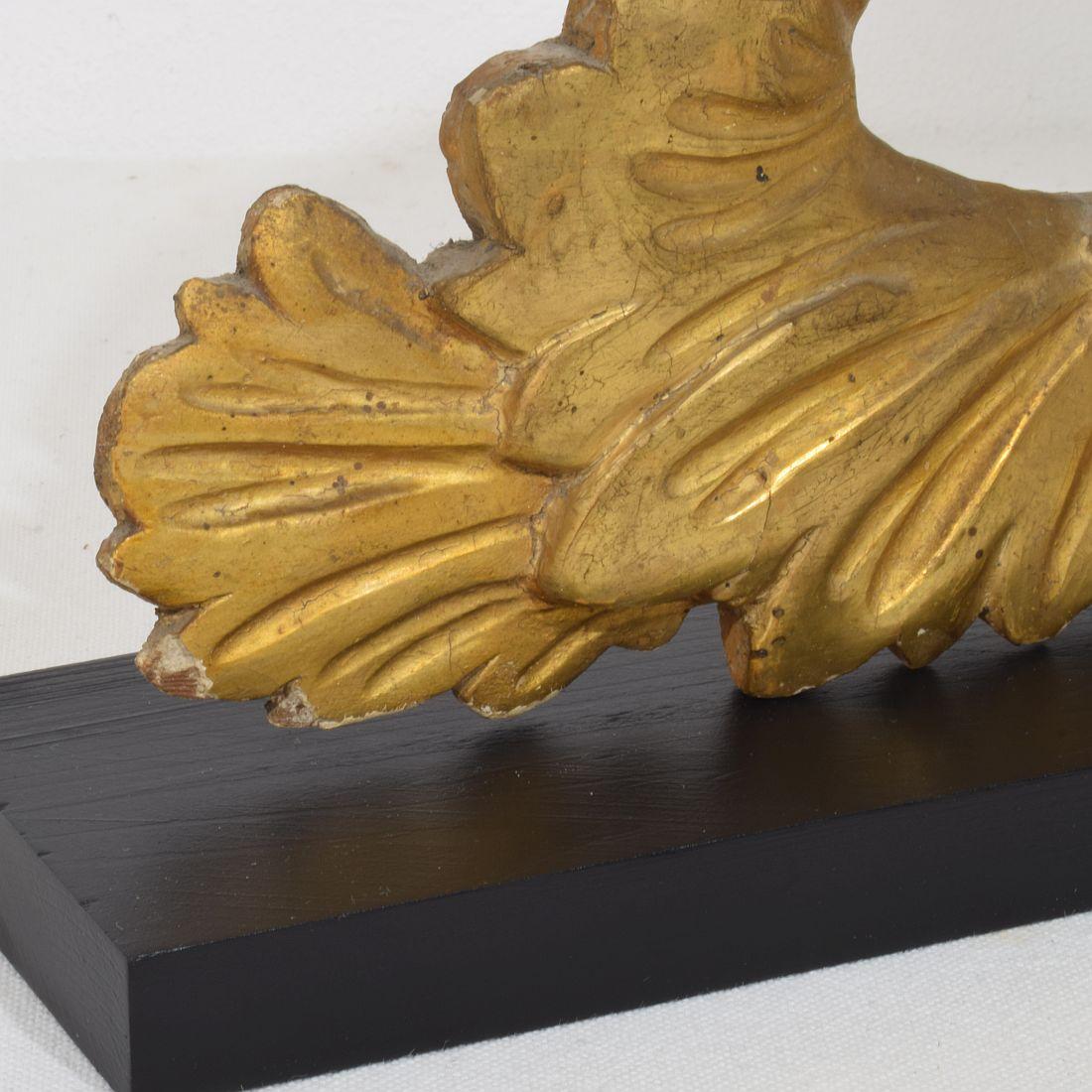 Italian 18th/ 19th Century Carved Giltwood Neo Classical Style bird Ornament For Sale 11