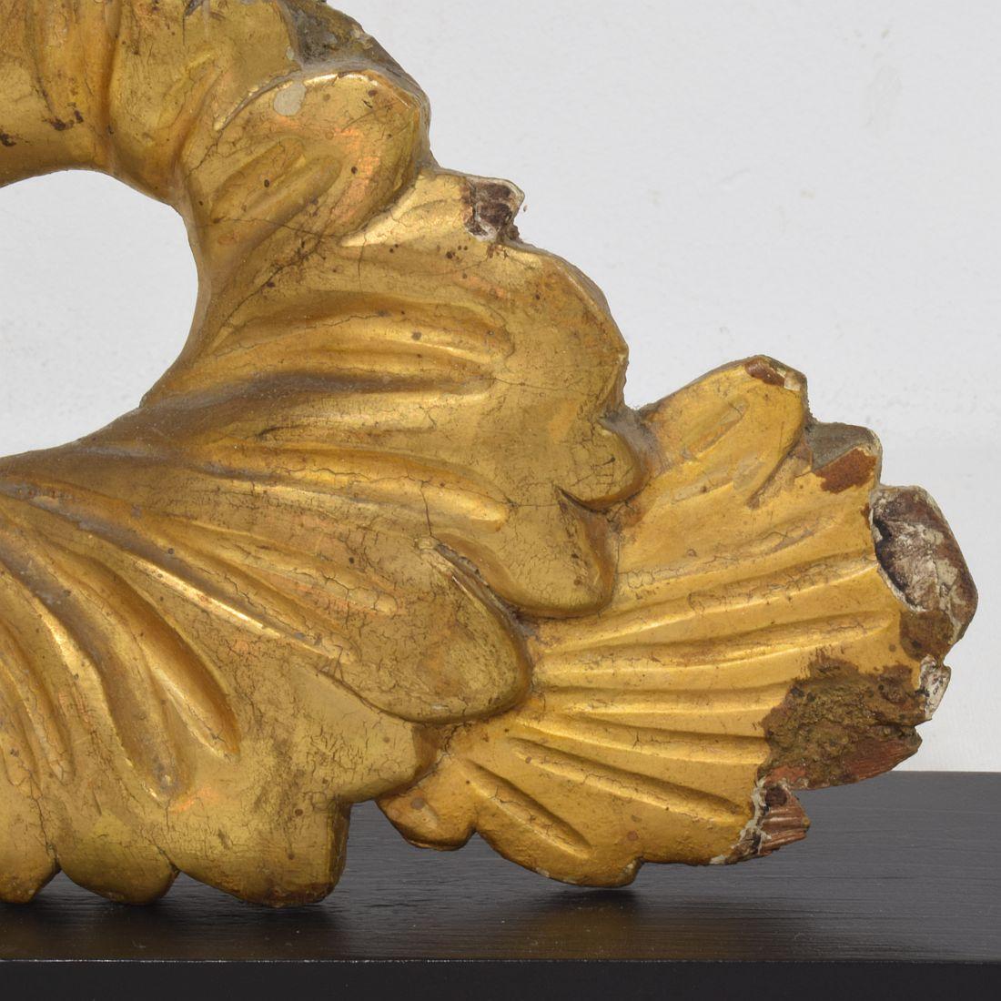 Adorno de pájaro italiano de estilo neoclásico tallado en madera de gilt del siglo XVIII/XIX en venta 10