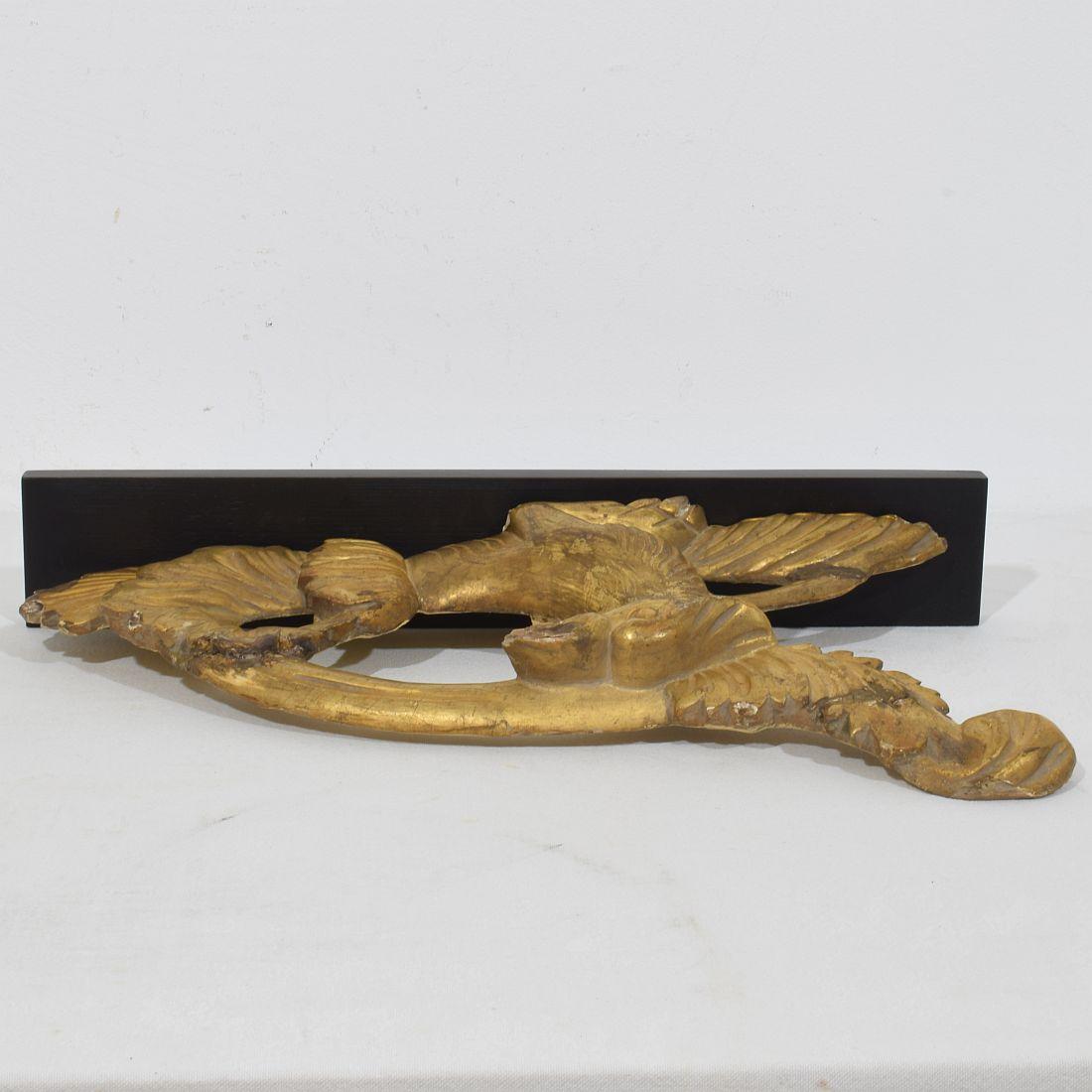 Adorno de pájaro italiano de estilo neoclásico tallado en madera de gilt del siglo XVIII/XIX en venta 11