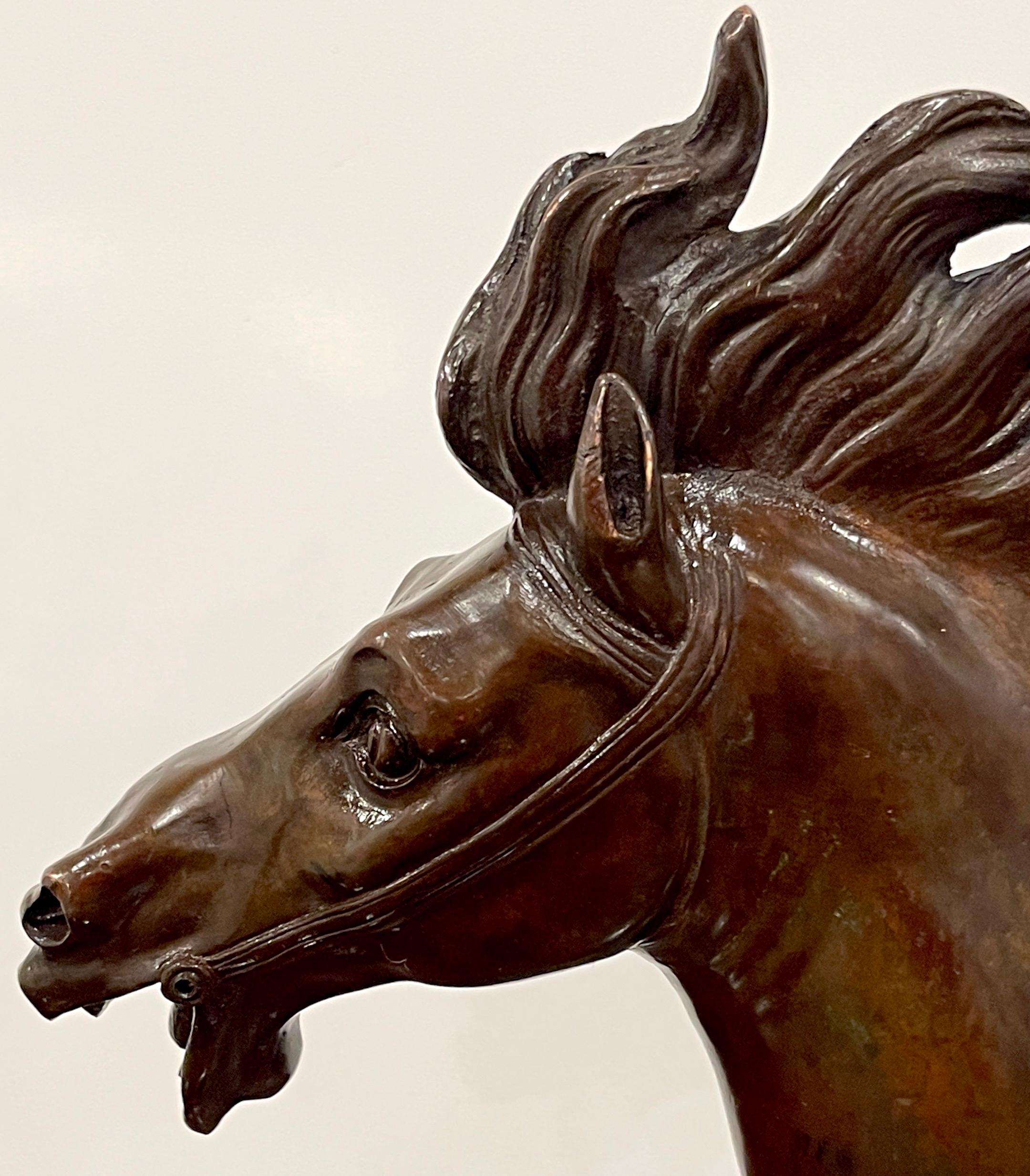 Italian 18th C Grand Tour Roman Bronze  Bust of a Horse, Specimen Marble Base For Sale 7