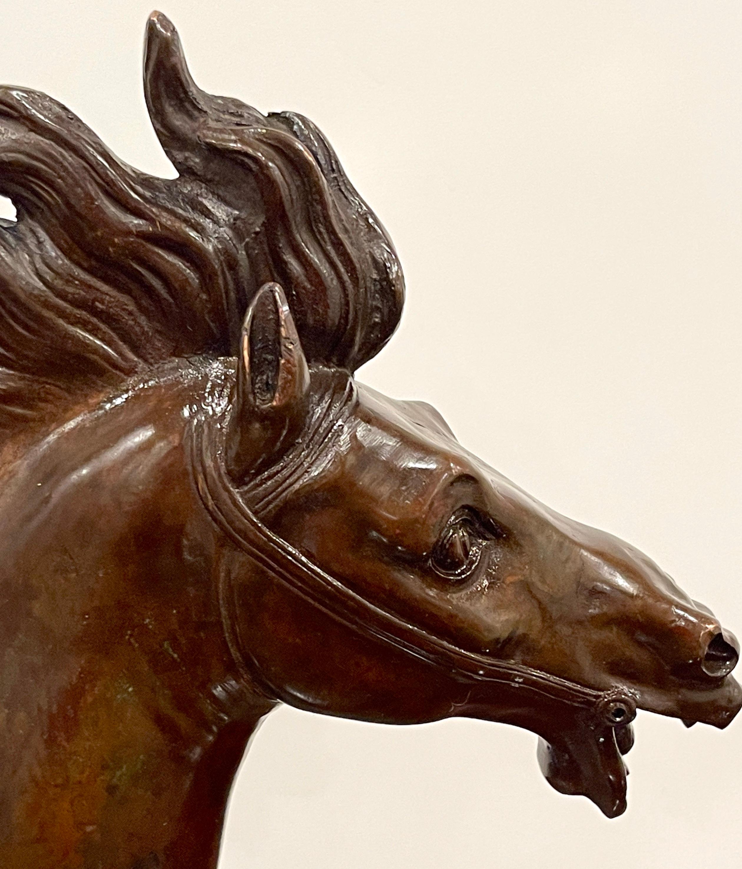 Italian 18th C Grand Tour Roman Bronze  Bust of a Horse, Specimen Marble Base For Sale 11