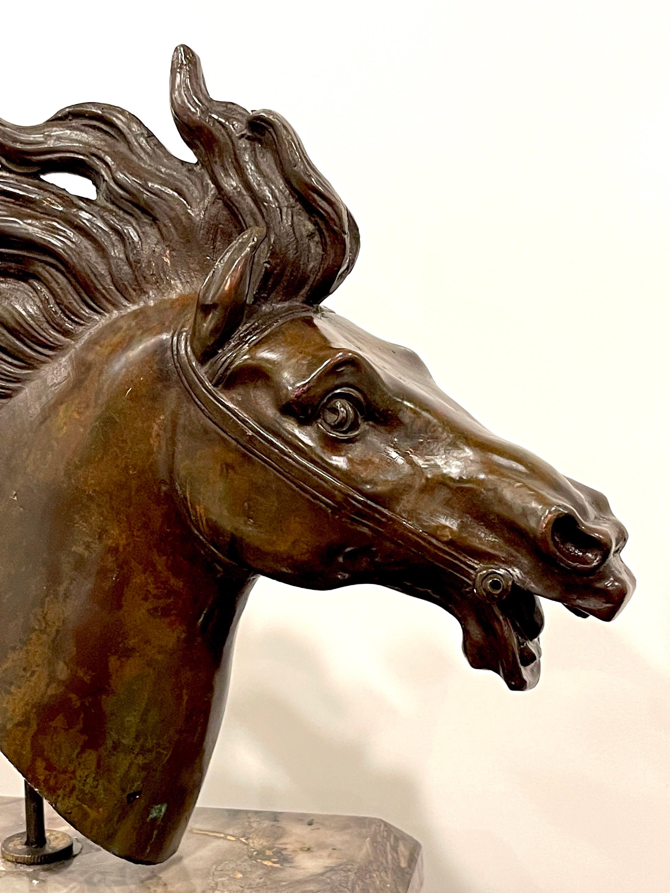 XVIIIe siècle Bronze romain Grand Tour italien du 18ème siècle  Buste d'un cheval, base en marbre spécimen en vente
