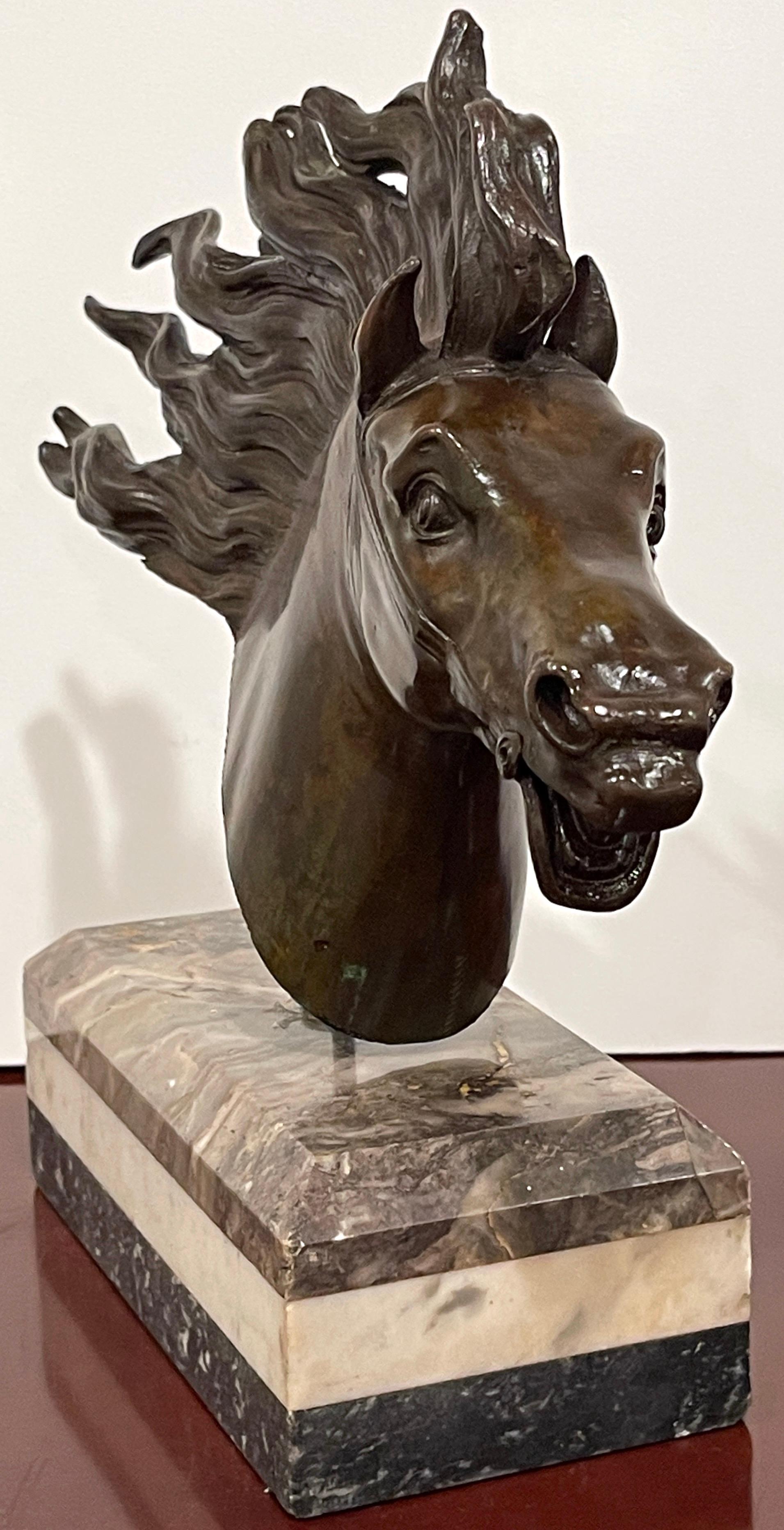 Italian 18th C Grand Tour Roman Bronze  Bust of a Horse, Specimen Marble Base For Sale 2