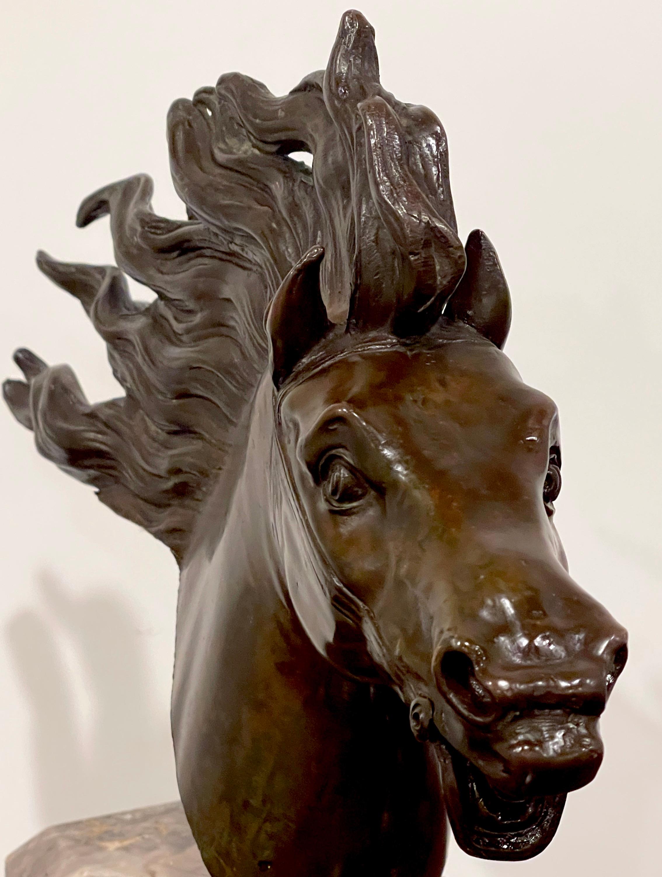 Italian 18th C Grand Tour Roman Bronze  Bust of a Horse, Specimen Marble Base For Sale 3