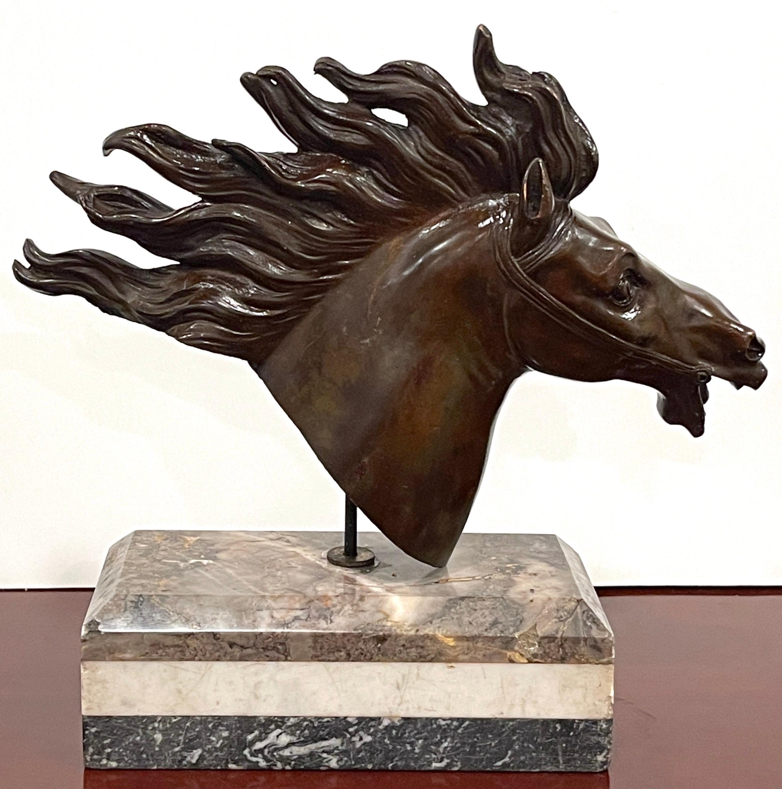 Italian 18th C Grand Tour Roman Bronze  Bust of a Horse, Specimen Marble Base For Sale 4