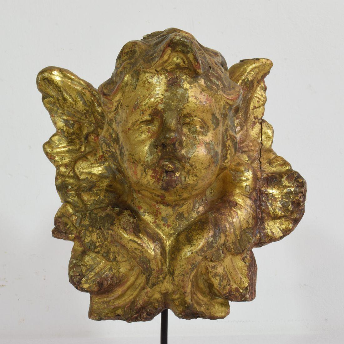 Italian 18th Century Baroque Carved Wooden Angel Head 1