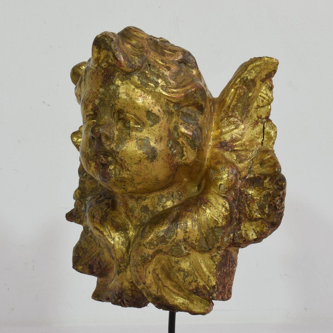 Italian 18th Century Baroque Carved Wooden Angel Head 2