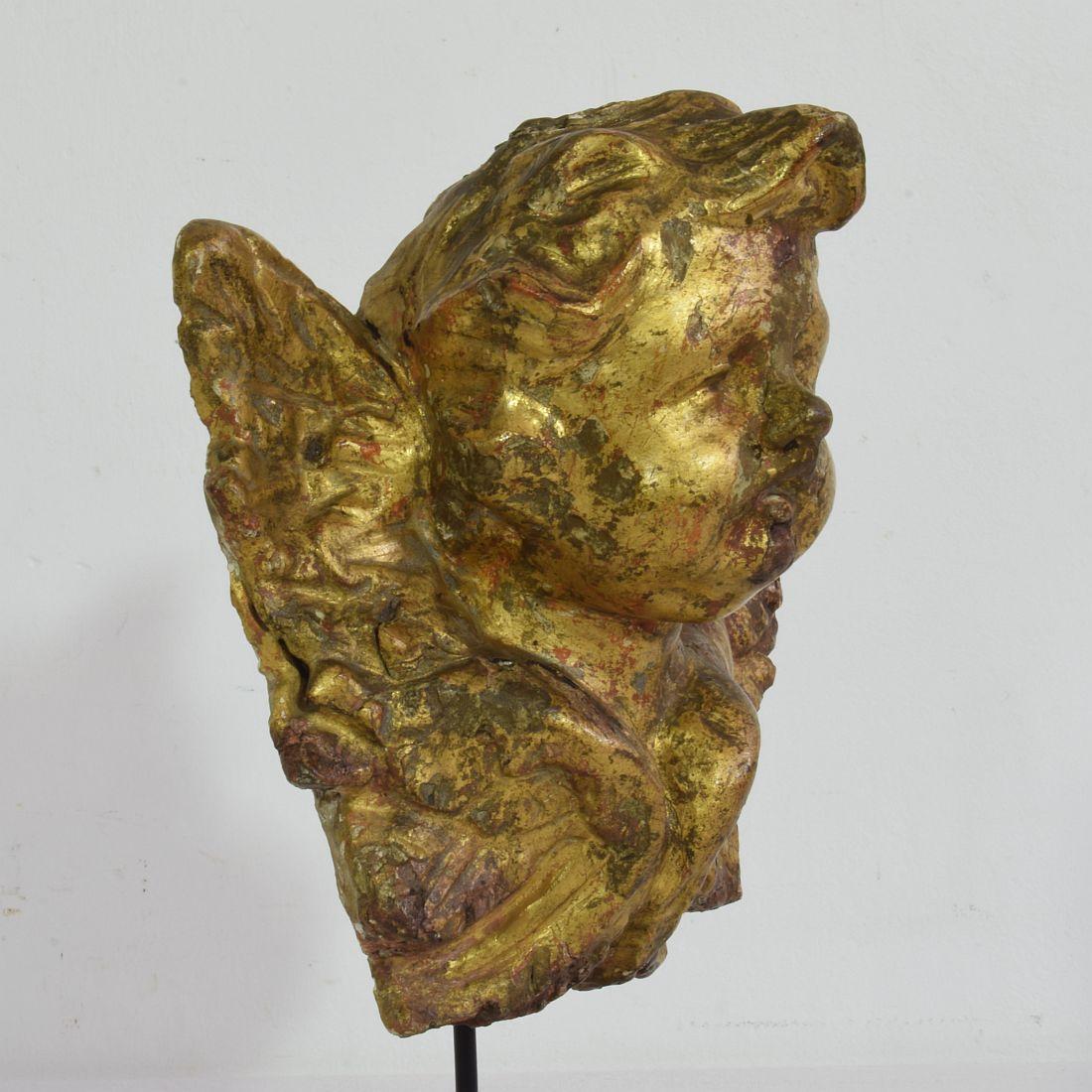 Italian 18th Century Baroque Carved Wooden Angel Head 3