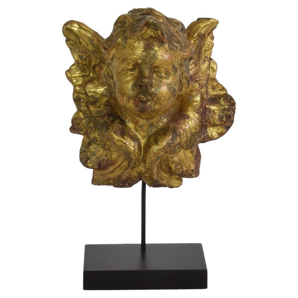 Italian 18th Century Baroque Carved Wooden Angel Head