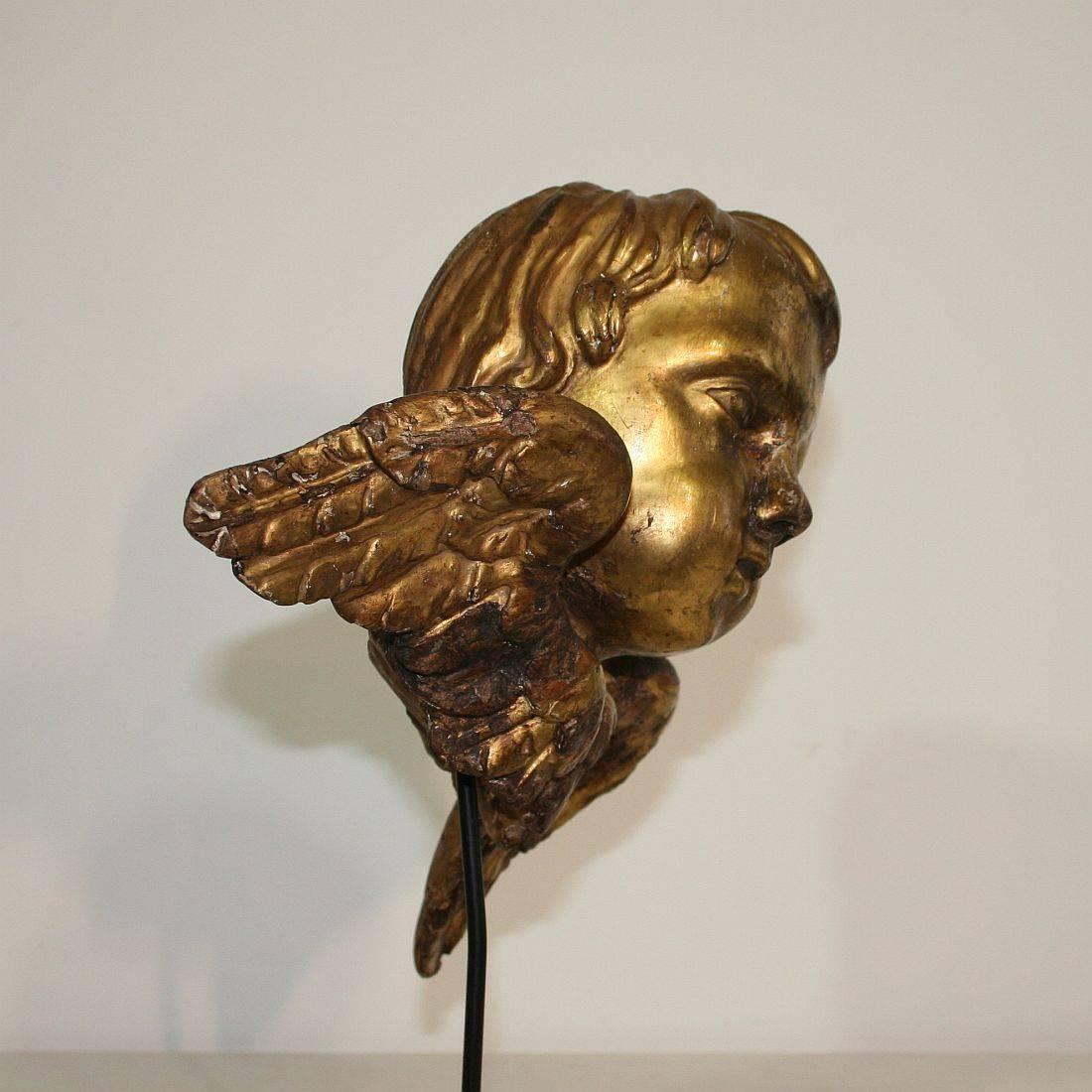 Italian 18th Century Baroque Gilded Angel Heads 4