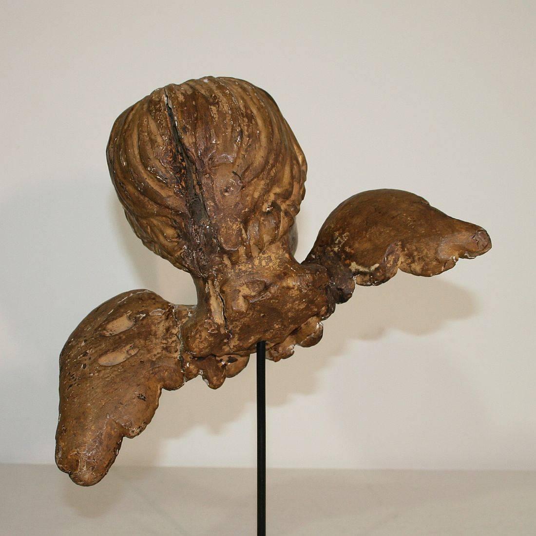 Italian 18th Century Baroque Gilded Angel Heads 5