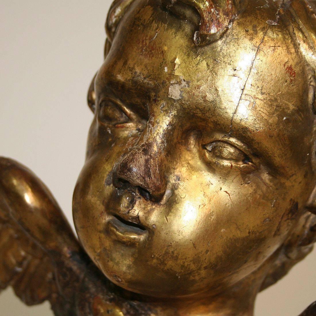 Italian 18th Century Baroque Gilded Angel Heads 6