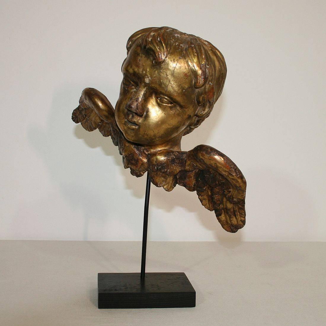 Italian 18th Century Baroque Gilded Angel Heads 2