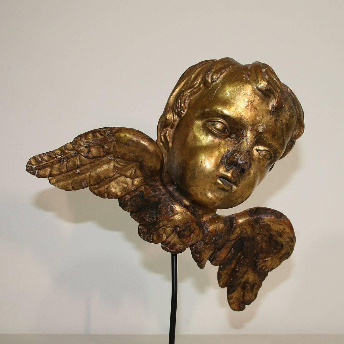 Italian 18th Century Baroque Gilded Angel Heads 3