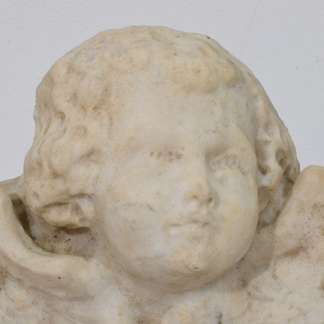 Italian 18th Century Baroque Marble Winged Angel Head For Sale 10