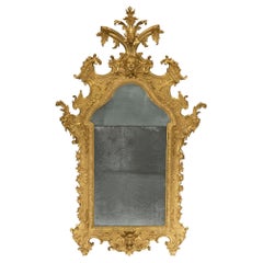 Italian 18th Century Baroque Period Giltwood Mirror